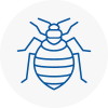 Bed Bug Extermination In Cheadle Staffordshire